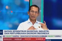 Kepala BP Batam Amsakar Achmad dalam wawancara bersama CNBC Indonesia. Foto: Tangkapan Layar