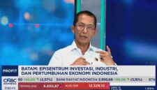 Kepala BP Batam Amsakar Achmad dalam wawancara bersama CNBC Indonesia. Foto: Tangkapan Layar 