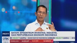Kepala BP Batam Amsakar Achmad dalam wawancara bersama CNBC Indonesia. Foto: Tangkapan Layar 