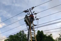 Pemeliharaan jaringan listrik oleh seorang petugas PLN Batam, Kepri. Foto: INIKEPRI.COM/PLN Batam 