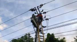 Pemeliharaan jaringan listrik oleh seorang petugas PLN Batam, Kepri. Foto: INIKEPRI.COM/PLN Batam 