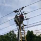 Pemeliharaan jaringan listrik oleh seorang petugas PLN Batam, Kepri. Foto: INIKEPRI.COM/PLN Batam 