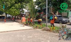 Tingkatkan Keandalan Listrik di Senjulung, PLN Batam Percepat Pembangunan Gardu Baru Dalam Upaya Pengamanan Peningkatan Beban