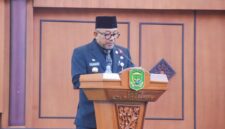 Wali Kota Tanjungpinang Lis Darmansyah. Foto: Istimewa