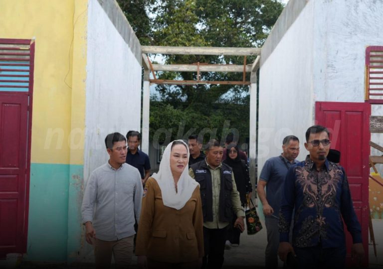 Bupati Natuna Cen Sui Lan meninjau revitalisasi SDN 001 Sedanau. Foto: INIKEPRI.COM/NatunaKab