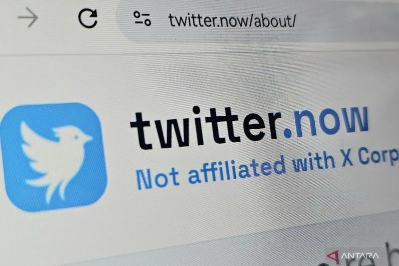 Tampilan platform Twitter yang dikembangkan oleh perusahaan rintisan Bluebird Operation. Foto: Istimewa