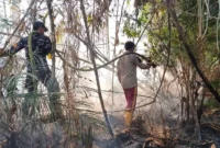 Tim Gabungan berjibaku memadamkan karhutla. Foto: INIKEPRI.COM/Polres Lingga
