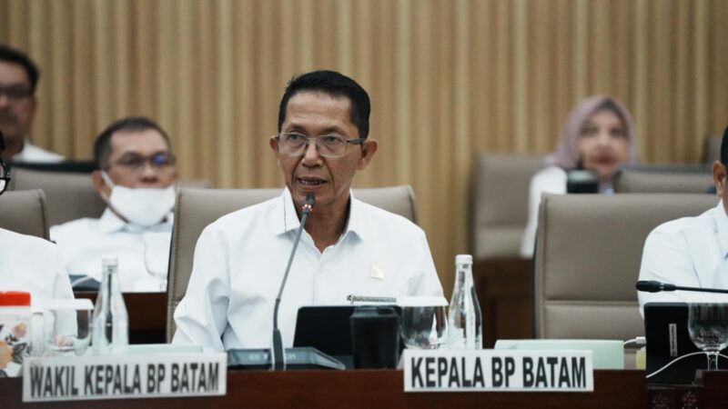 Kepala BP Batam Amsakar Achmad di RDP DPR RI. Foto: INIKEPRI.COM/BP Batam