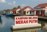 Ilustrasi. Foto: Istimewa 