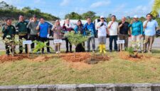 Kegiatan gotong royong dan penanaman bunga kertas di Jalan Batu Sisir. Foto: INIKEPRI.COM