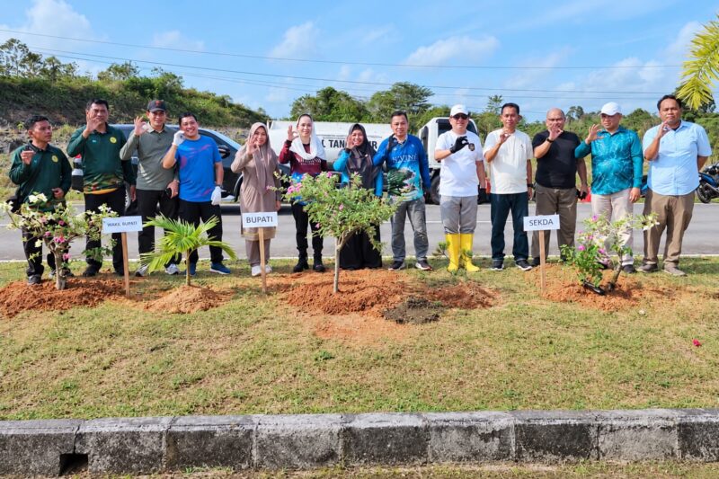Kegiatan gotong royong dan penanaman bunga kertas di Jalan Batu Sisir. Foto: INIKEPRI.COM