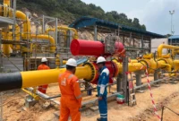 Tenaga Ahli Proyek PLN EPI melakukan pengecekan kesiapan Onshore Receiving Facility (ORF) WNTS-Pemping untuk memastikan fasilitas siap dari segi keamanan dan keselamatan sebelum Gas-In Commisioning dimulai. Foto: Istimewa 